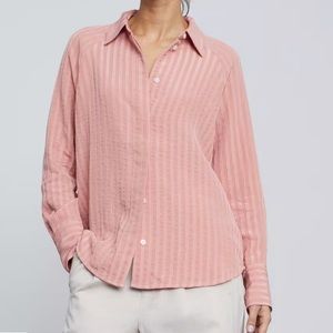 Everlane City Stripe Buttondown Shirt in Light Rose - NWT